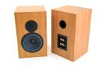 Audio Note (UK) AX-2 Loudspeaker